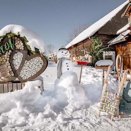 Appartement Biobauernhof Brandlhof à Ramsau am Dachstein Extérieur photo