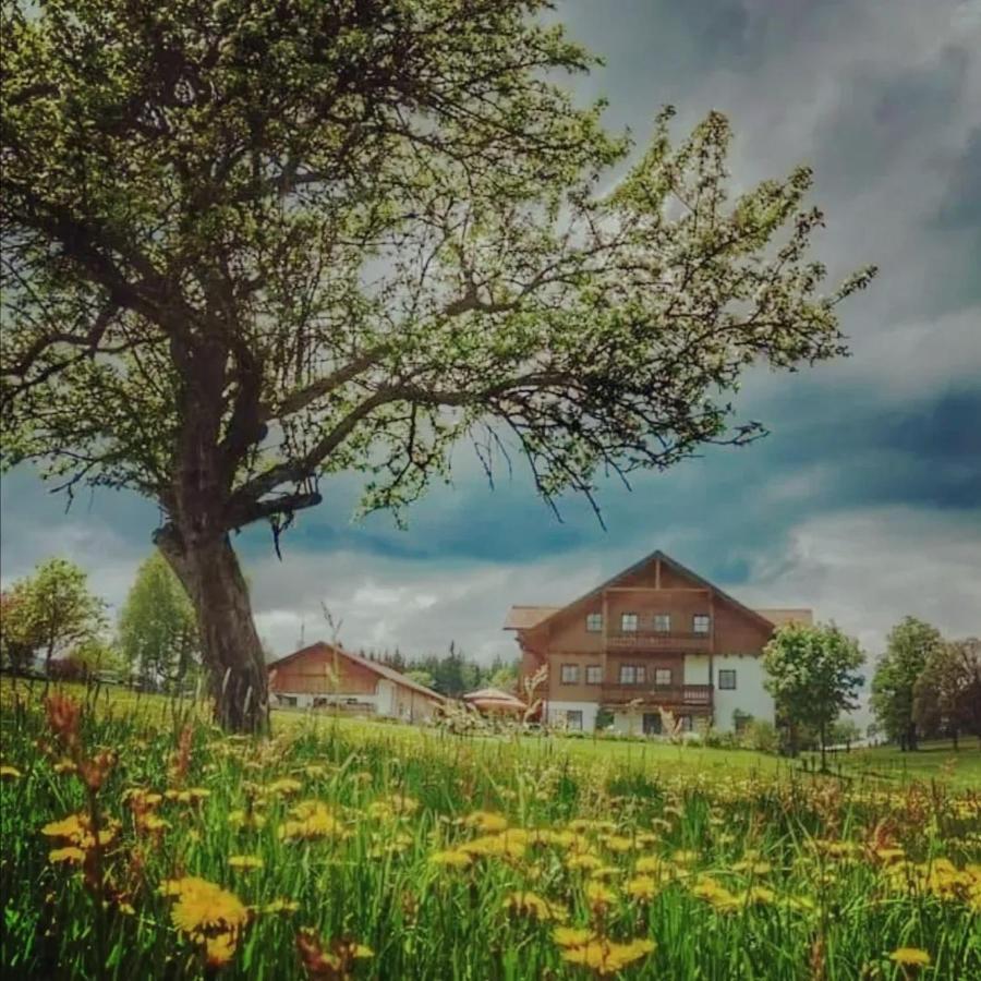 Appartement Biobauernhof Brandlhof à Ramsau am Dachstein Extérieur photo
