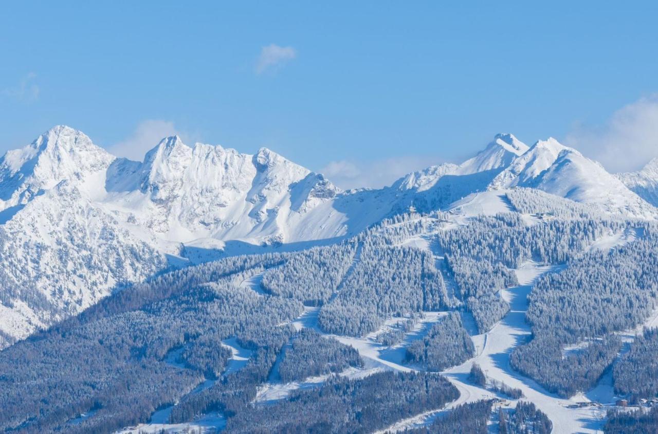 Appartement Biobauernhof Brandlhof à Ramsau am Dachstein Extérieur photo