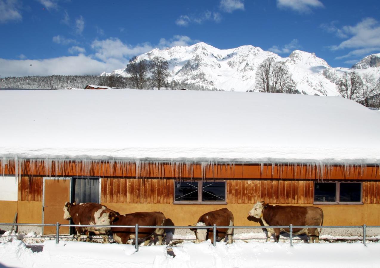 Appartement Biobauernhof Brandlhof à Ramsau am Dachstein Extérieur photo