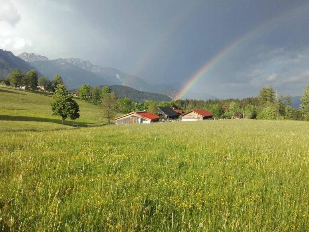 Appartement Biobauernhof Brandlhof à Ramsau am Dachstein Extérieur photo