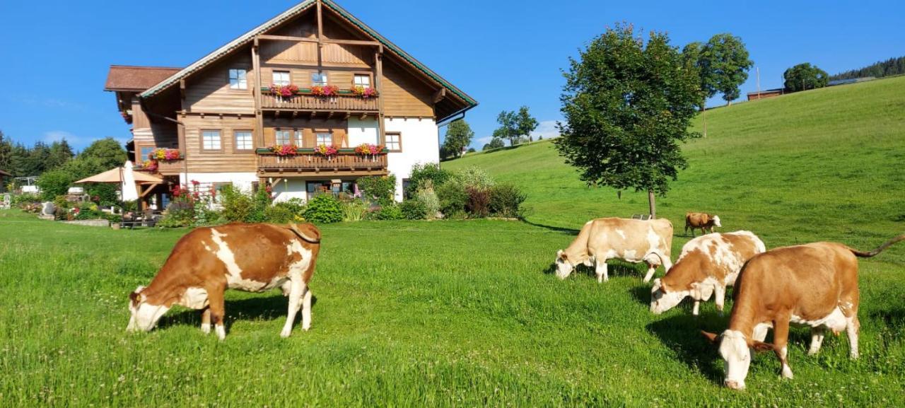 Appartement Biobauernhof Brandlhof à Ramsau am Dachstein Extérieur photo