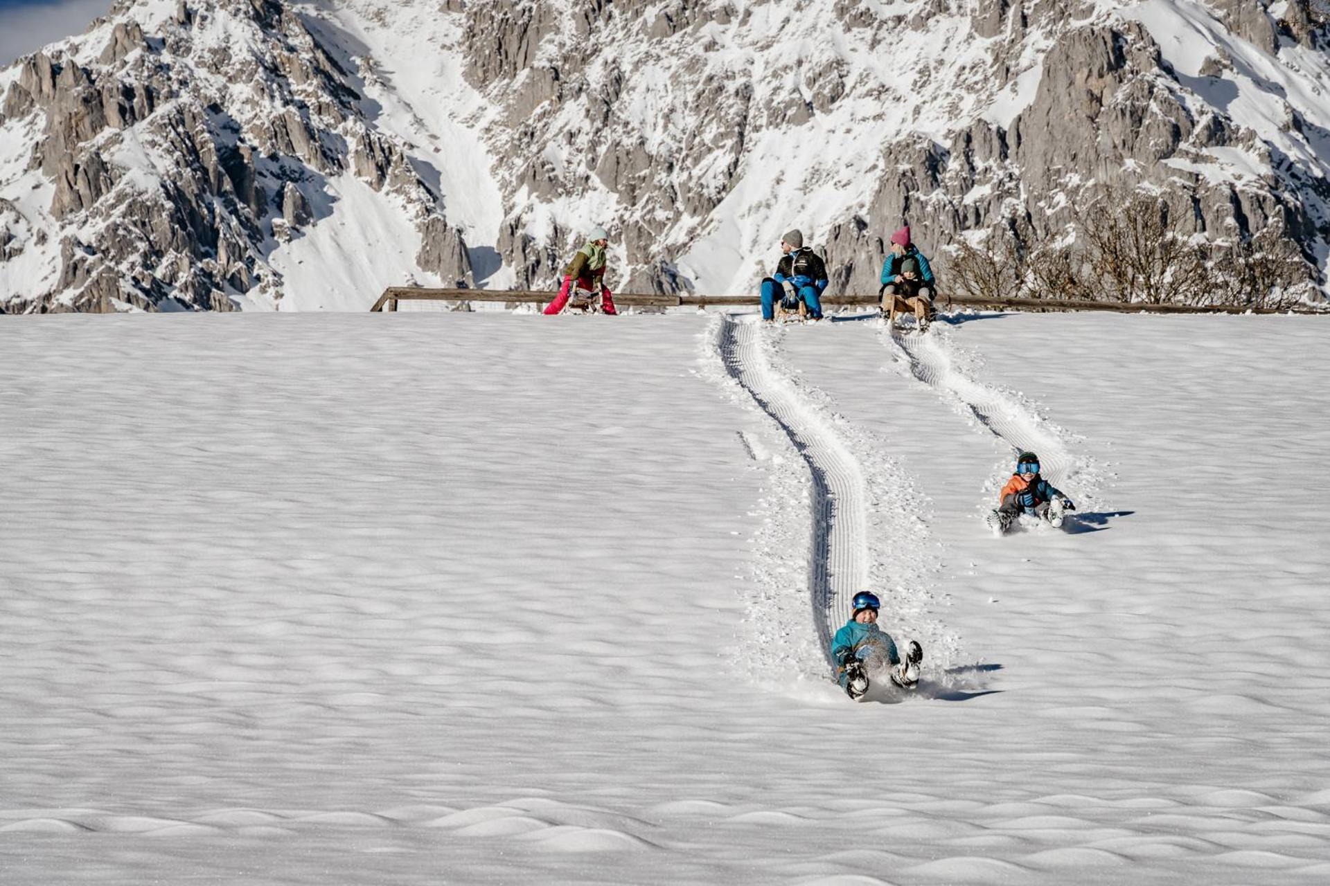 Appartement Biobauernhof Brandlhof à Ramsau am Dachstein Extérieur photo