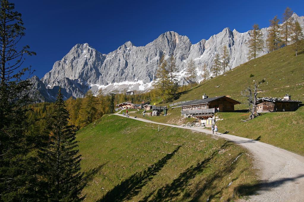 Appartement Biobauernhof Brandlhof à Ramsau am Dachstein Extérieur photo