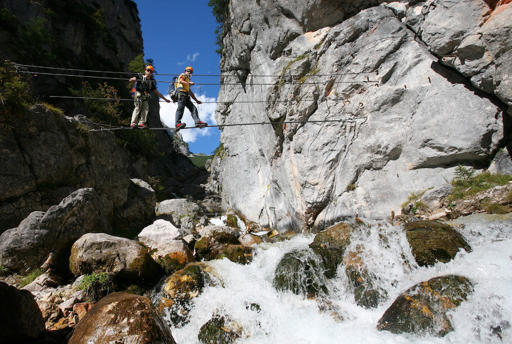 Appartement Biobauernhof Brandlhof à Ramsau am Dachstein Extérieur photo